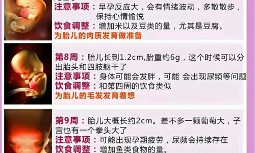 固经丸的主治功能网- 固经丸的组成方歌功用主治及方解知识,分享固经丸的正确配方