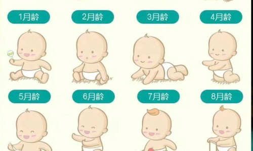 固经丸趣味歌诀-固经丸的主治功能网- 固经丸的组成方歌功用主治及方解知识,分享固经丸的正确配方